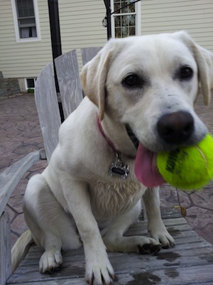 Emma with a ball