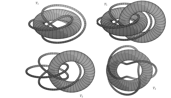 a trefoil knot