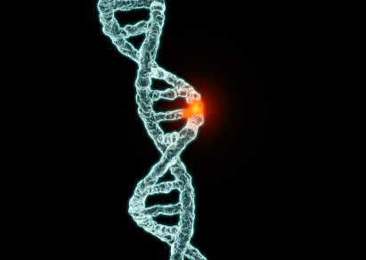 DNA Sequence