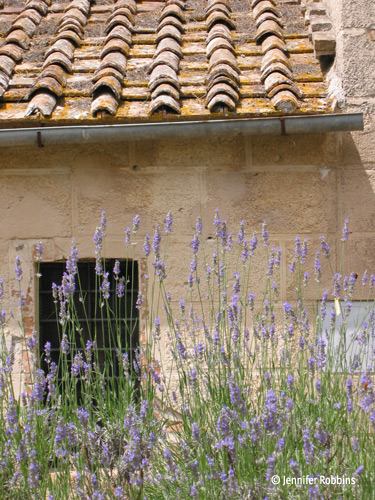 view of lavender